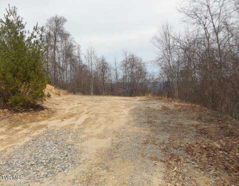 1012 Locust Lot 40 Lane, Butler, TN 37640