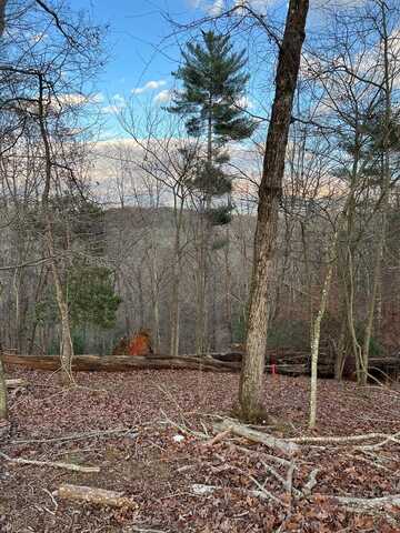 Lot 402 Crown Court, Ellijay, GA 30540