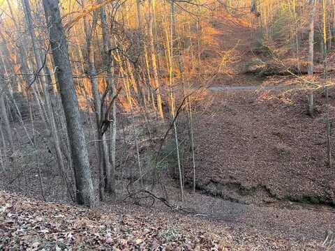 Lot 319 Riverview Drive, Ellijay, GA 30540