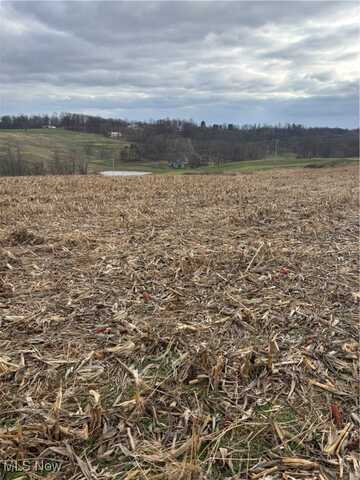 Township Road 103, Millersburg, OH 44654