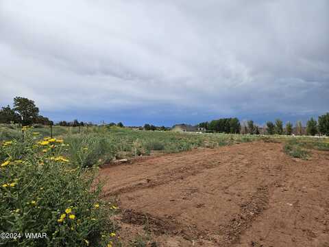 Tbd Parcel B Caldwell Canyon Road, Snowflake, AZ 85937