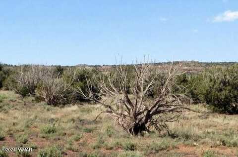 Tbd 201-35-008B, Concho, AZ 85924