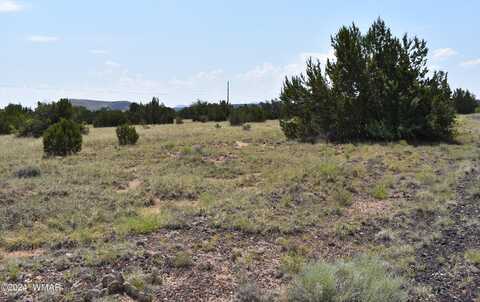 41 Dawn Lane, Concho, AZ 85924