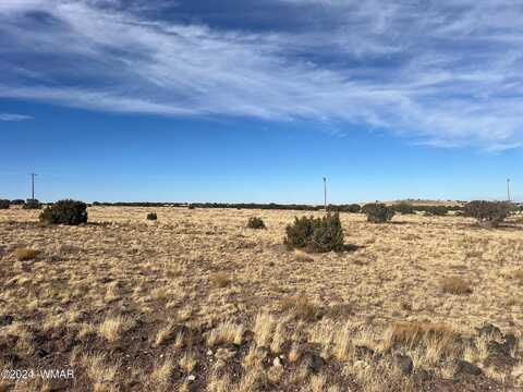 Tbd CR 5139, Concho, AZ 85924