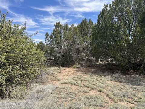 29 Green Drive, Concho, AZ 85924