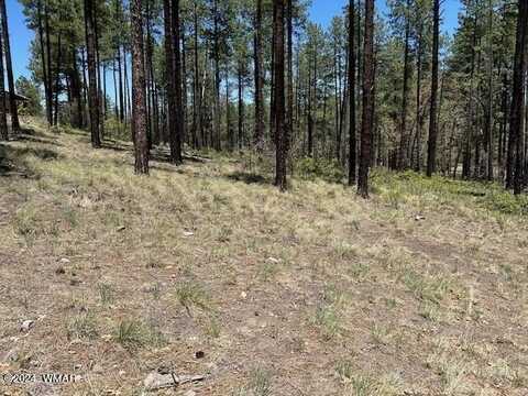 Tbd COUNTY ROAD N2122, Alpine, AZ 85920