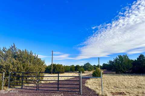 28 Co Rd 8021, Concho, AZ 85924