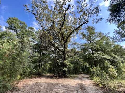 0 Bear Fork Road, Mobile, AL 36618