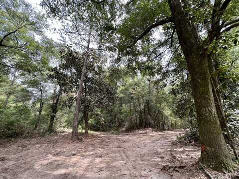 0 Bear Fork Road, Mobile, AL 36618