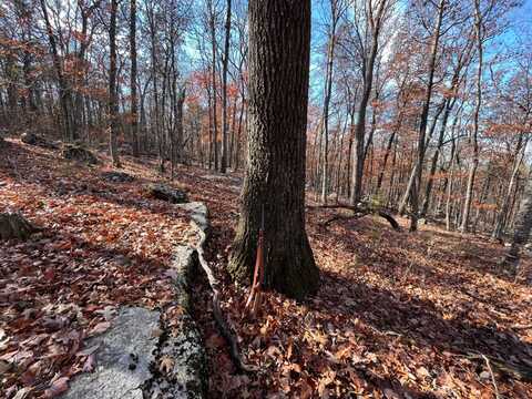 0 Southard Rd, Gurley, AL 35748