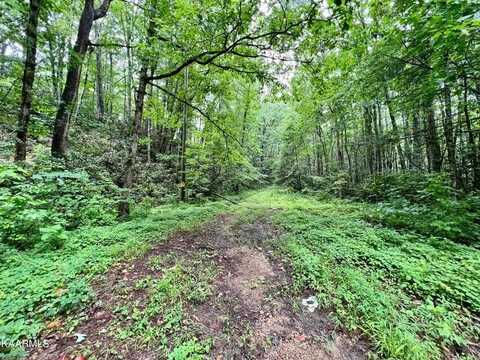 Lot 61 Sycamore Street, Sevierville, TN 37876