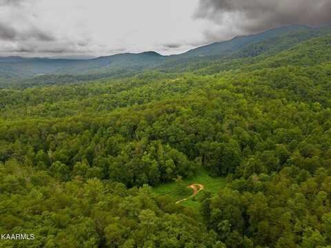 Lot 65 Azalea Trail, Sevierville, TN 37876