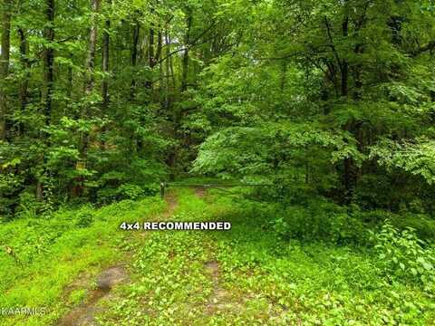 Lot 47 Beechwood Lane, Sevierville, TN 37876