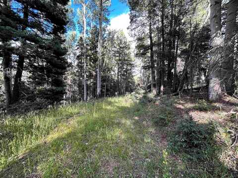 2 Back Basin Road, Angel Fire, NM 87710