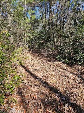 Lot 10 Carolina Road, Millers Creek, NC 28651