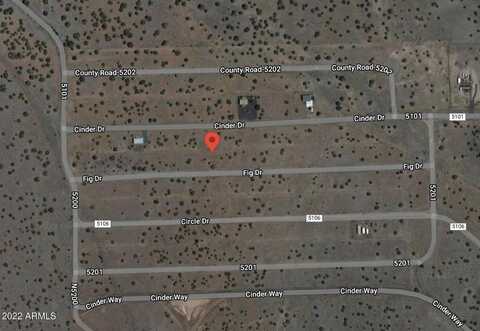 15 COUNTY RD 5202 Road, Concho, AZ 85924