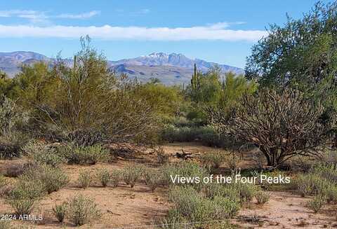 0 S 168th Street, Rio Verde, AZ 85263