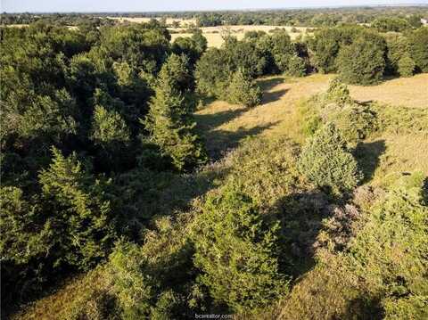 3 Acres PR 2019, Caldwell, TX 77836