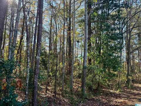 Lot 7 LANE AVENUE, ROANOKE, AL 36274