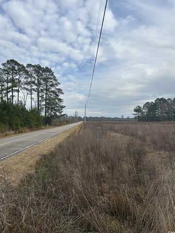 TBD Williams Hill Rd., Hemingway, SC 29554