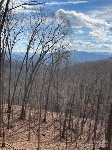 00 Signature Row Boulevard, Waynesville, NC 28785