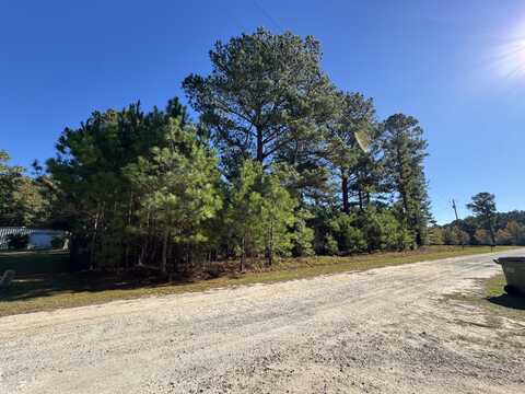 00 Winding Pond Road, Manning, SC 29102