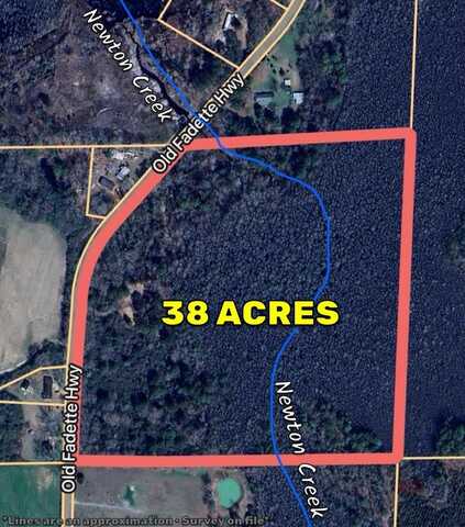 38 ACRES Old Fadette Rd, Slocomb, AL 36375