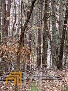 0 Bluff, Elberton, GA 30635