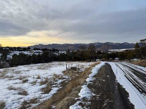 14495 Scott Loop, Collbran, CO 81624