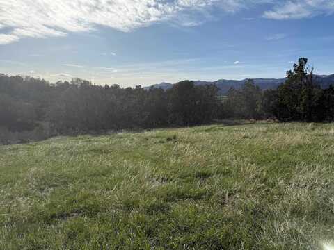14495 Scott Loop, Collbran, CO 81624