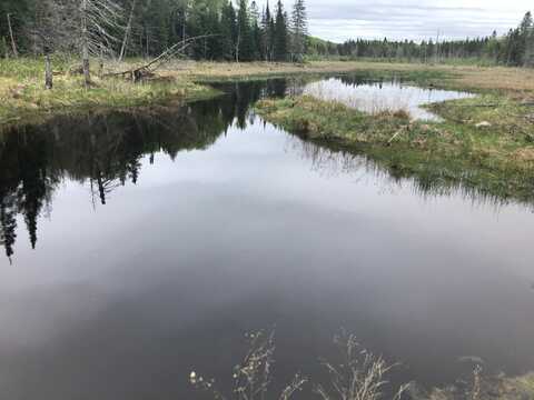 Off FIRE TOWER RD, Watersmeet, MI 49969