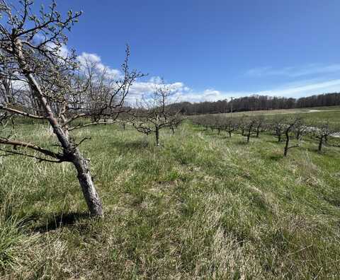 0 Pinot Place, Manistee, MI 49660