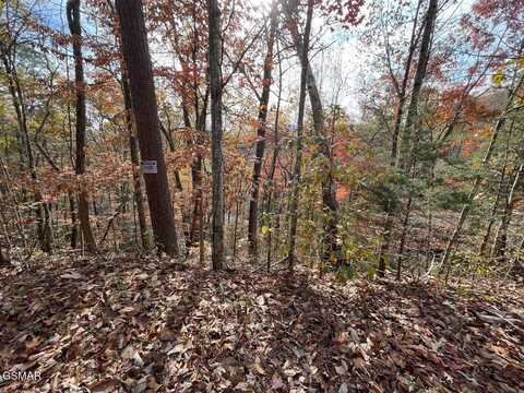 Lot 34r Sugar Mtn Way, Pigeon Forge, TN 37863