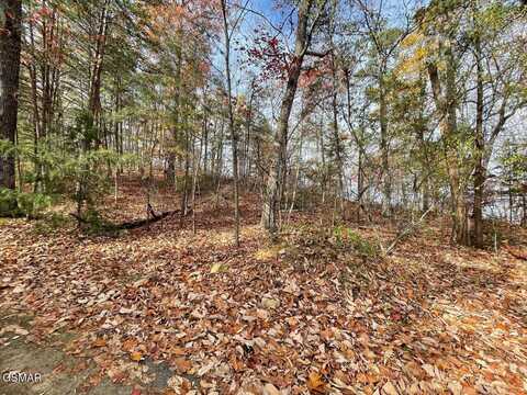 Lot 21r Sugar Mtn Way, Pigeon Forge, TN 37863