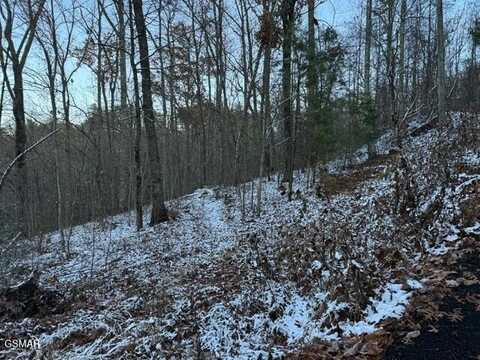 Lot 2 High Ridge Way, Sevierville, TN 37862