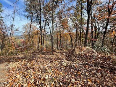 Lot 33r Sugar Mtn. Way, Pigeon Forge, TN 37863