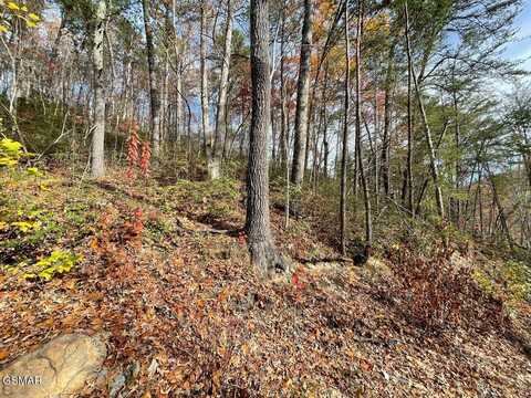 Lot 36r Sugar Mtn Way, Pigeon Forge, TN 37863