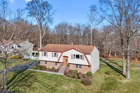 11 Brookside Ct, Whippany, NJ 07054