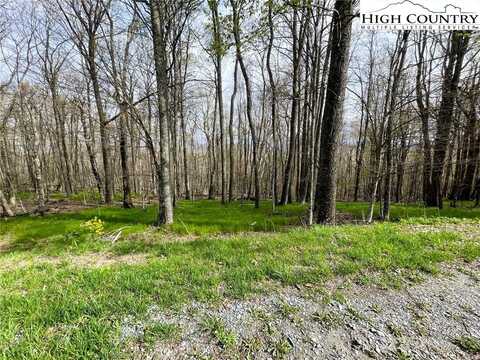 203 Sawmill Branch Road, Beech Mountain, NC 28604