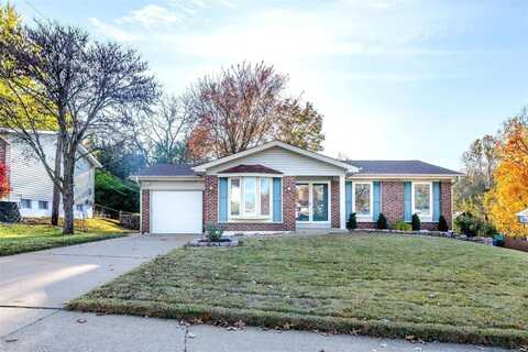 2300 Calle Vista Drive, Florissant, MO 63031