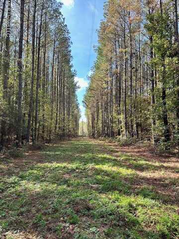 Lot 4 Swamp Road, Carthage, MS 39051