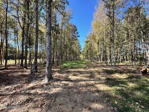 Lot #5 Swamp Road, Carthage, MS 39051