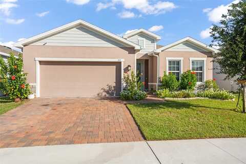 317 WINTER BLISS LANE, MOUNT DORA, FL 32757