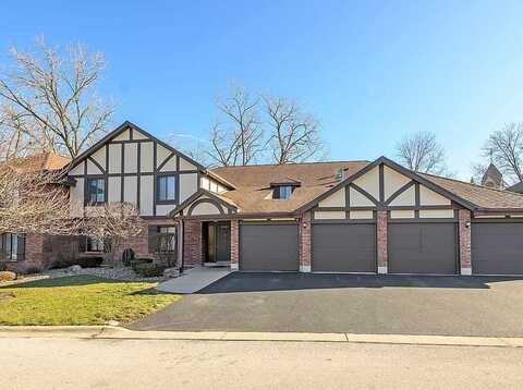 8127 Chestnut Drive, Palos Hills, IL 60465