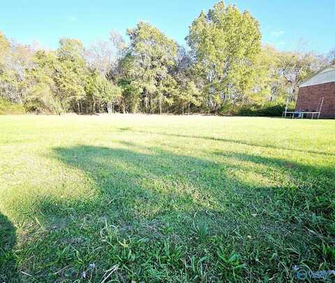 2910 Wimberly Drive SW, Decatur, AL 35603