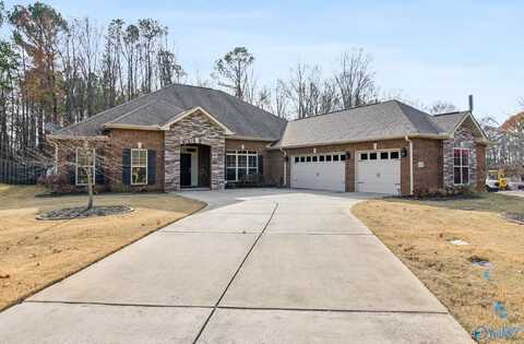 137 Chesnut Heath Court, Madison, AL 35756