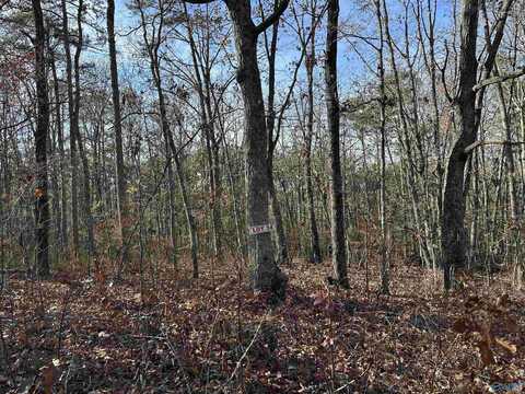 Lot 34 Woodfern Drive, Scottsboro, AL 35768