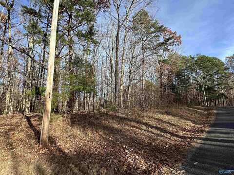 Lot 22 Woodfern Drive, Scottsboro, AL 35768