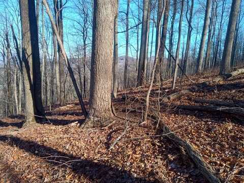 Lt M214 Walnut Ridge, Ellijay, GA 30536