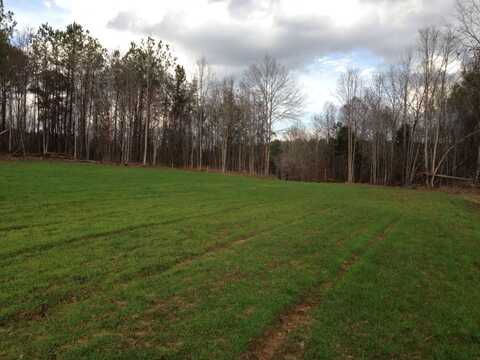 40 Acre Pinhook Road, Demopolis, AL 36732